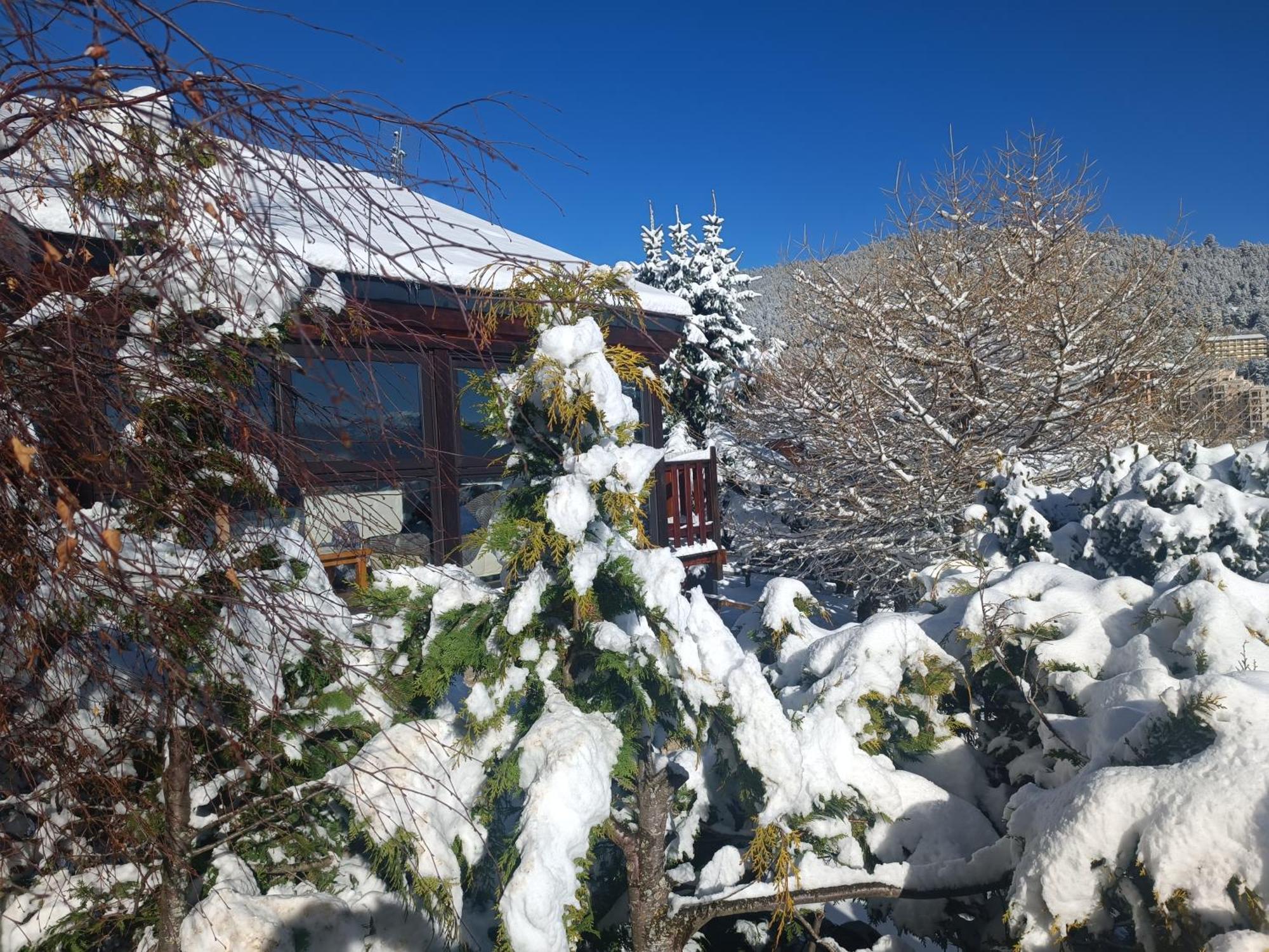 Chalet Pres Des Pistes Avec Vue Panoramique 레 장글 외부 사진